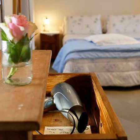 B&B Paradiso N.4 Siena Dış mekan fotoğraf
